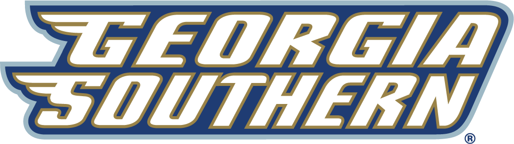 Georgia Southern Eagles 2004-Pres Wordmark Logo v3 iron on transfers for fabric